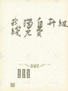 我独自升级 在线免费