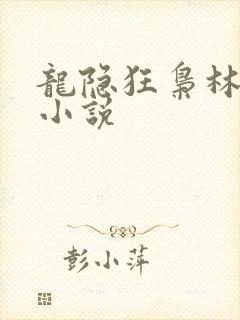 龙隐狂枭林安澜小说