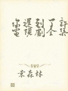 你迟到了许多年电视剧全集封面