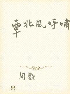 西北风呼啸的中午