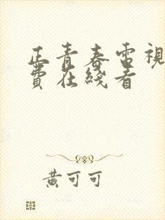 正青春电视剧免费在线看