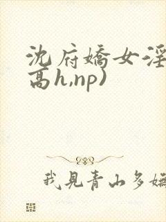 沈府娇女淫史(高h,np)封面