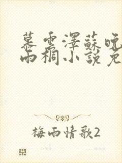 慕云泽苏晚晴夏雨桐小说免费阅读封面