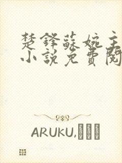 楚锋苏婉主角的小说免费阅读