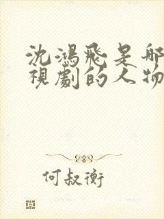 沈鸿飞是哪个电视剧的人物