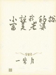 小说我的总裁白富美老婆