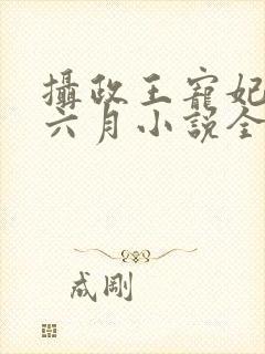 摄政王宠妃日常六月小说全集免费看