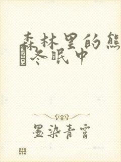 森林里的熊先生·冬眠中