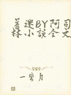 着迷BY阿司匹林小说全文免费阅读