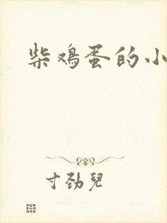 柴鸡蛋的小说