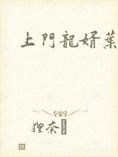 上门龙婿叶最新