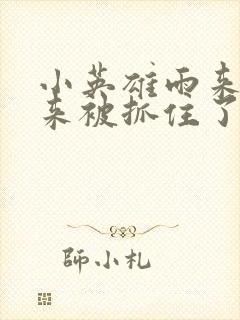 小英雄雨来之雨来被抓住了读后感