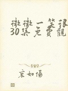 微微一笑很倾城30集免费观看高清