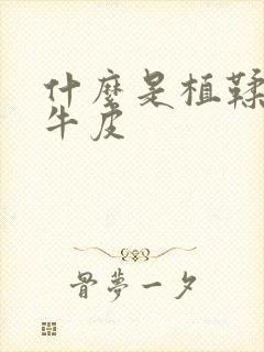 什么是植鞣头层牛皮封面