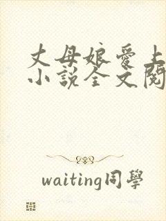 丈母娘爱上女婿小说全文阅读