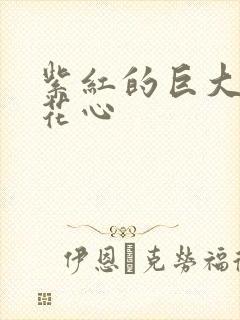 紫红的巨大顶开花心封面