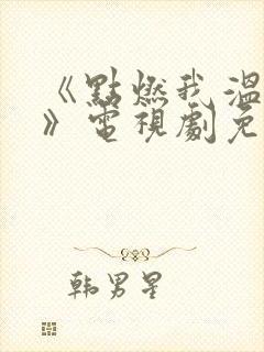 《点燃我温暖你》电视剧免费观看