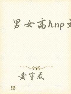 男女高hnp文
