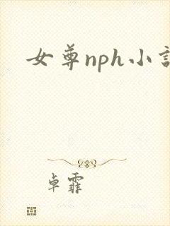 女尊nph小说