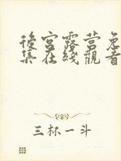 后宫露营免费全集在线观看