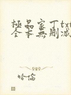 极品家丁txt全本无删减下载