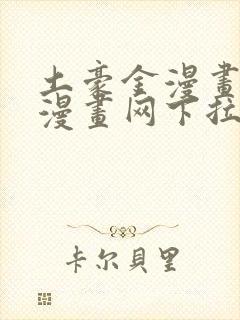 土豪金漫画免费漫画网下拉式