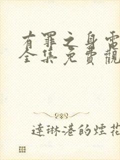 有罪之身电视剧全集免费观看高清