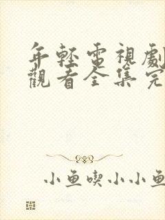 年轻电视剧免费观看全集完整版高清封面