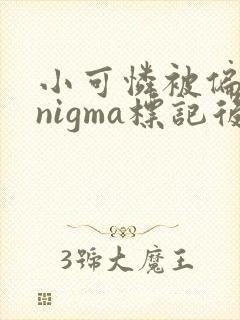 小可怜被偏执enigma标记后免费阅读笔趣阁