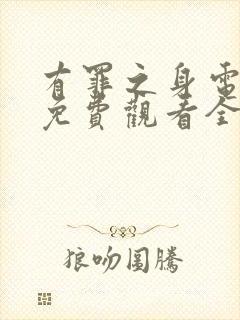 有罪之身电视剧免费观看全集高清