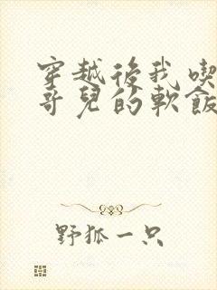 穿越后我吃到了哥儿的软饭炉山灰封面