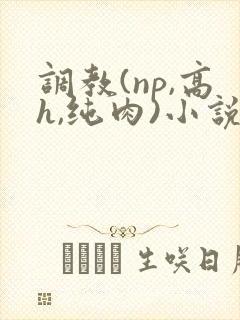 调教(np,高h,纯肉)小说封面