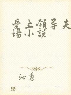 爱上领导夫人官场小说