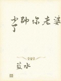 少帅你老婆又跑了