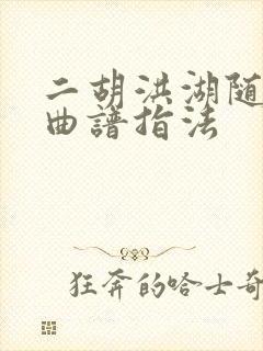 二胡洪湖随想曲曲谱指法