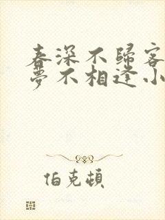 春深不归客,清梦不相逢小说阅读