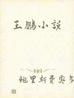 王鹏小说