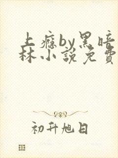 上瘾by黑暗森林小说免费