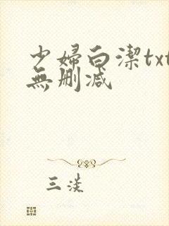 少妇白洁txt无删减