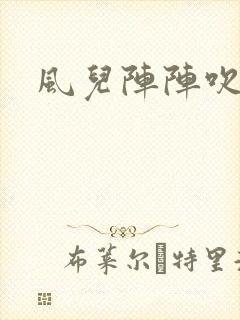 风儿阵阵吹封面