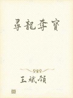 寻龙夺宝