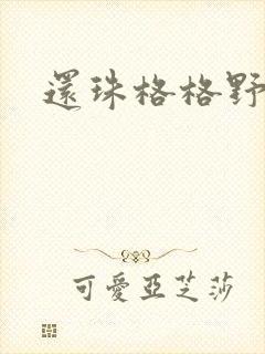 还珠格格野传封面