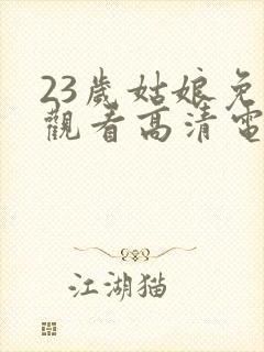 23岁姑娘免费观看高清电视剧封面