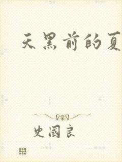 天黑前的夏天