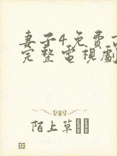 妻子4免费高清完整电视剧封面