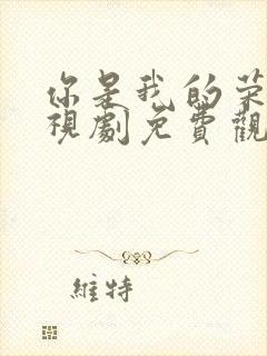 你是我的荣耀电视剧免费观看全集封面