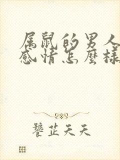 属鼠的男人对待感情怎么样封面