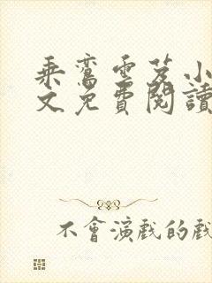 乘鸾云芨小说全文免费阅读封面