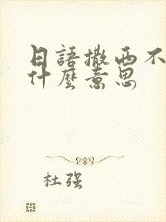 日语撒西不理是什么意思封面