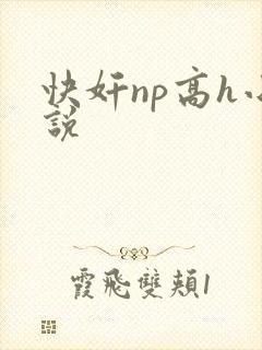 快奸np高h小说